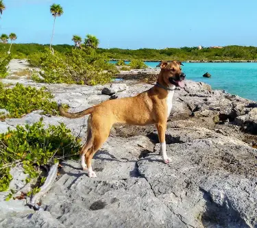 Laska-ha Cave diving Mexico