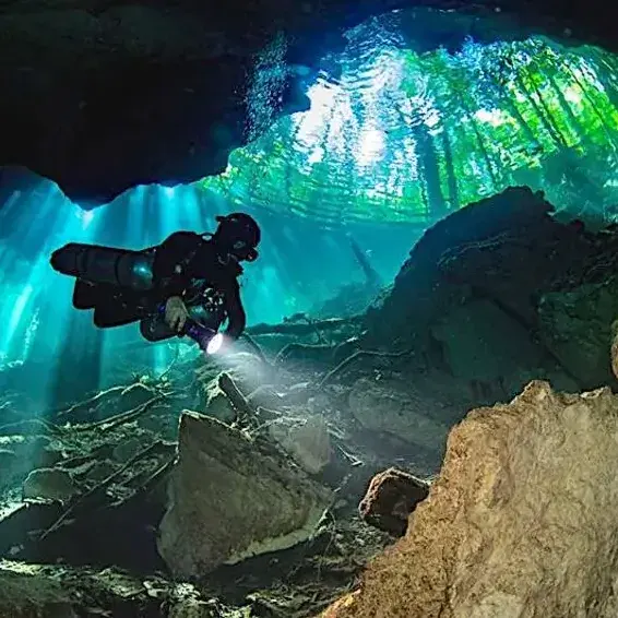 Intense diving in the cenotes of Yucatan
