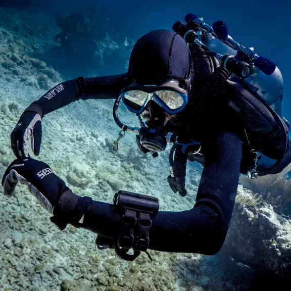 TDI Advanced Nitrox Diver Mexico