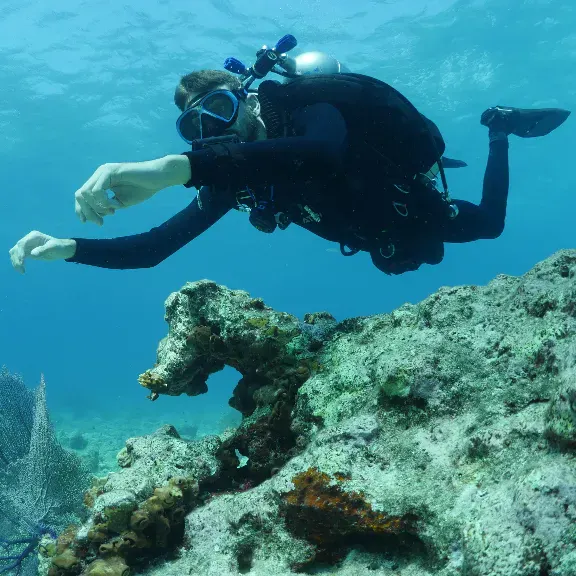 TDI intro to tech in the shallow waters